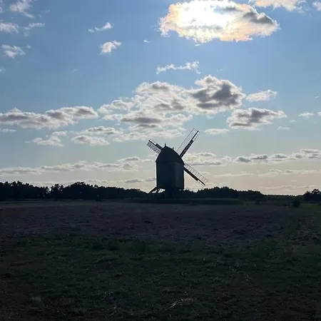 Holiday home Stilvolle Landidylle In Der Suedheide