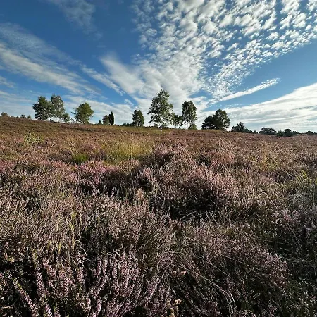 Holiday home Stilvolle Landidylle In Der Suedheide Wittingen
