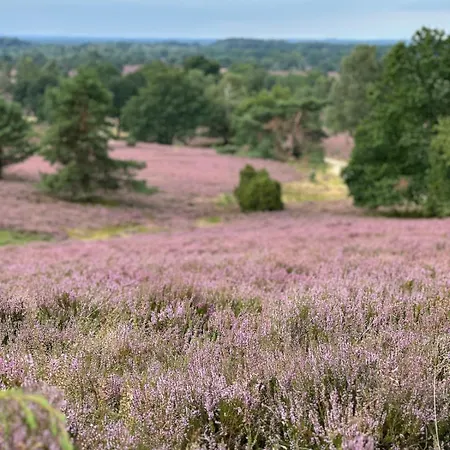 Stilvolle Landidylle In Der Suedheide
