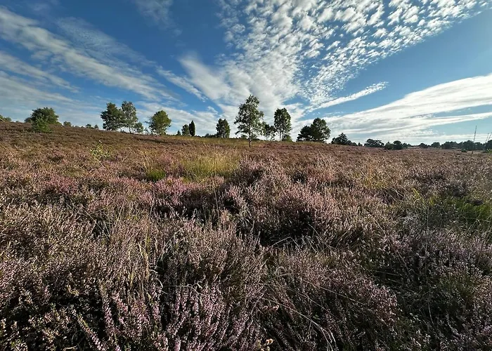 Casa vacanze Stilvolle Landidylle In Der Suedheide Wittingen