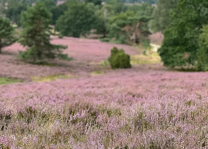 Stilvolle Landidylle In Der Suedheide